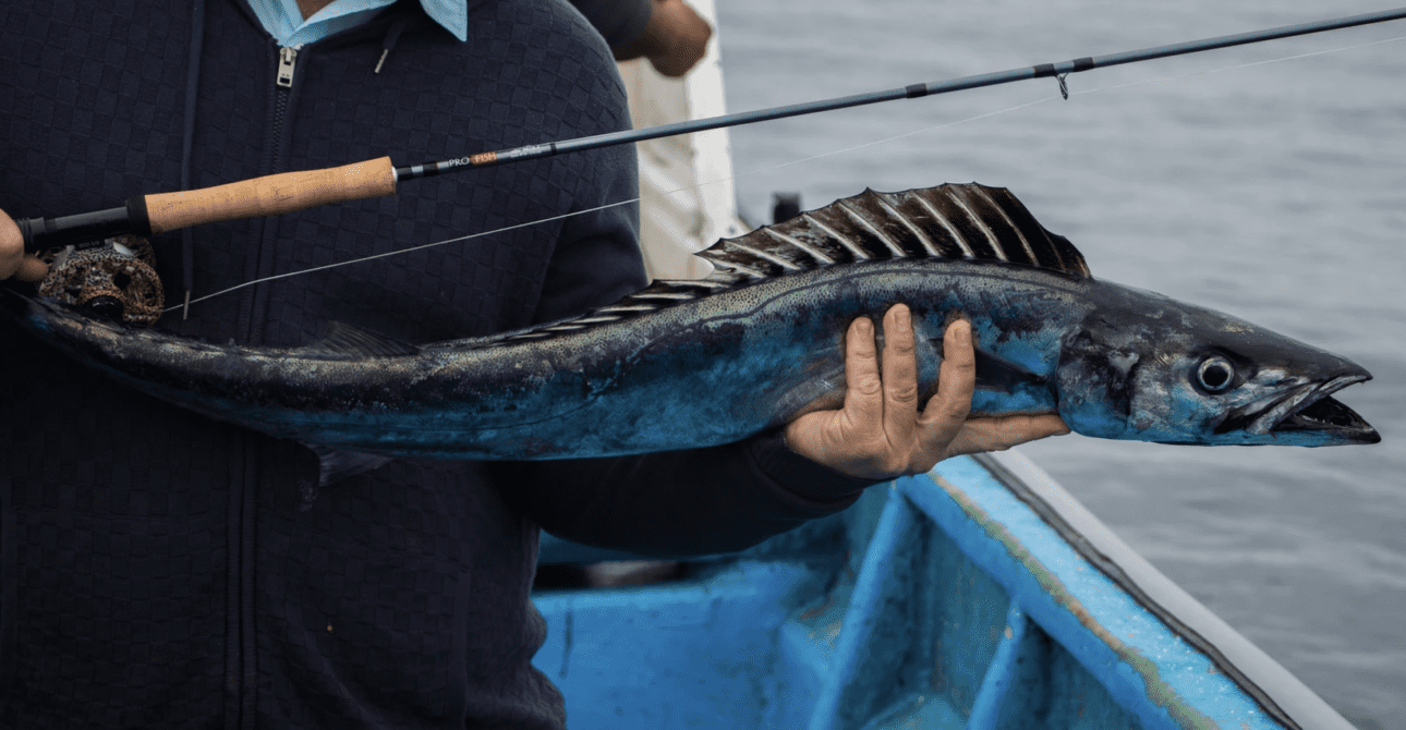 Saltwater Fly Fishing: Ultimate Adventure in Viña del Mar